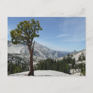 Cartão Postal Ponto Olmsted I no Parque Nacional de Yosemite