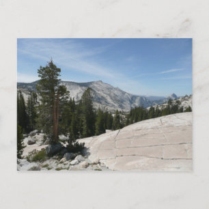 Cartão Postal Ponto Olmsted II do Parque Nacional de Yosemite