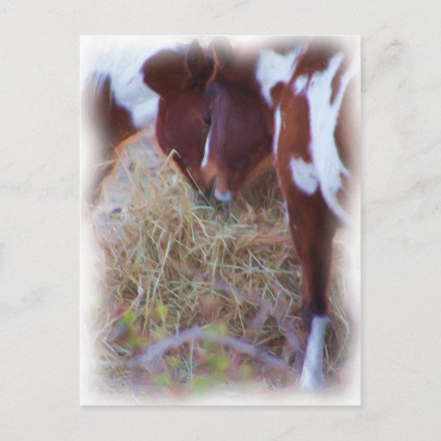 Cartão Postal ponylove (Frente)