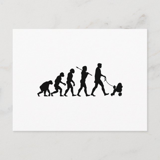 Cartão Postal Poodle (Frente)