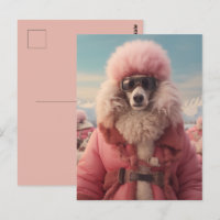 Poodle Ártico