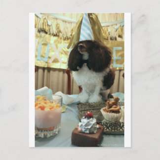 Cartão postal Poodle Birthday
