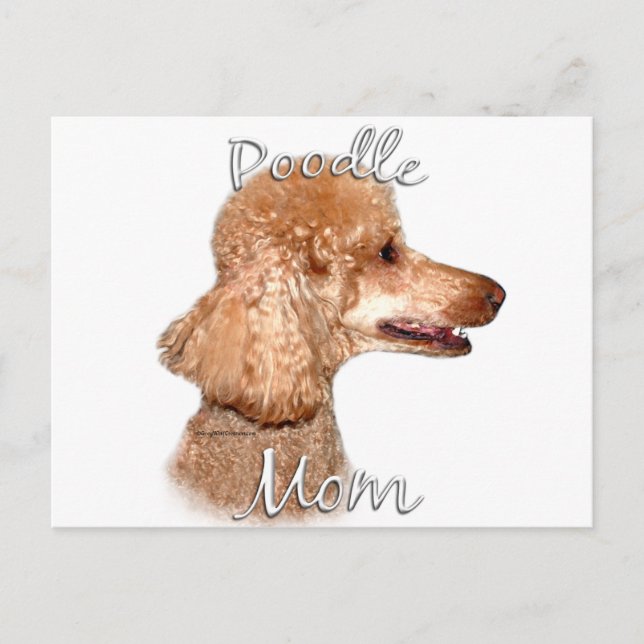 Cartão Postal Poodle (damasco) Mãe 2 (Frente)