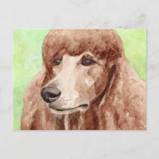 Cartão Postal Poodle de Aquarela