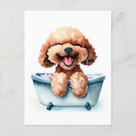 Cartão Postal Poodle Dog