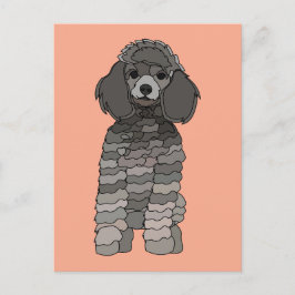 Cartão Postal Poodle Dog Pet