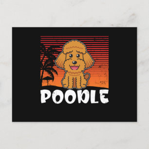 Cartão Postal Poodle Dog   Poodles