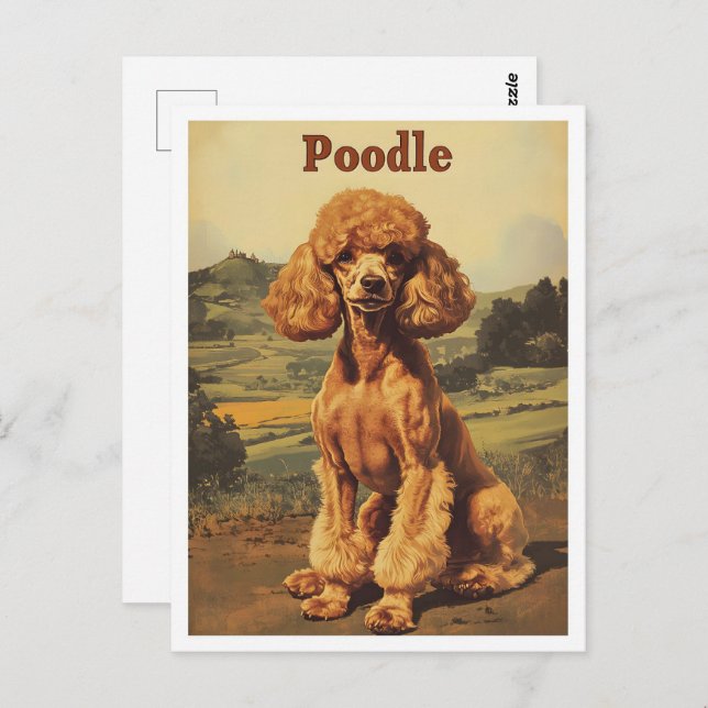 Cartão Postal Poodle Dog Vintage Art (Frente/Verso)