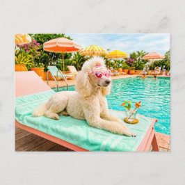 Cartão Postal Poodle em poltrona de lounge