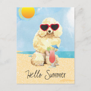 Cartão Postal Poodle Miniatura de Verão