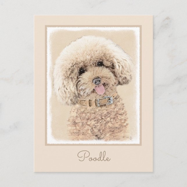 Cartão Postal Poodle Miniature Toy Apricot Cream Brown Dog Art (Frente)