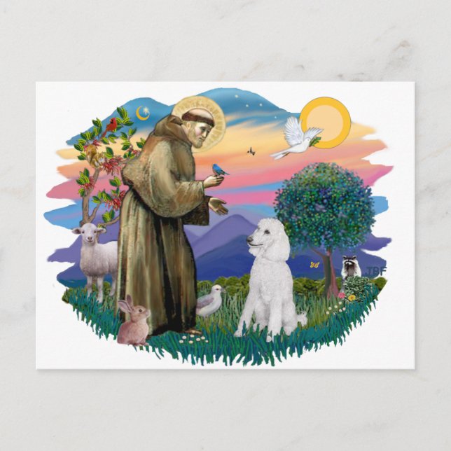 Cartão Postal Poodle (Padrão Branco) (Frente)