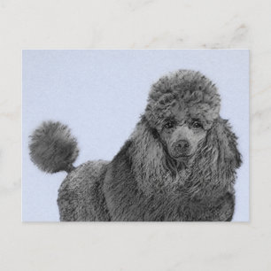 Cartão Postal Poodle Painting Miniature Toy Black