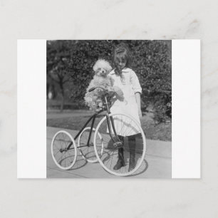 Cartão Postal Poodle Perch, 1913