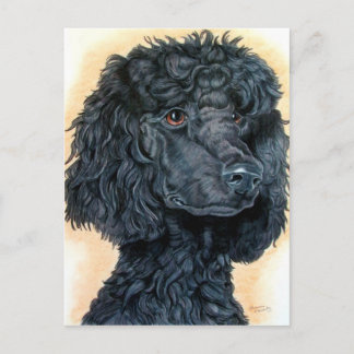 Cartão Postal Poodle Preto
