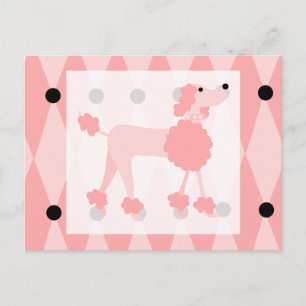 Cartão Postal Poodle Rosa
