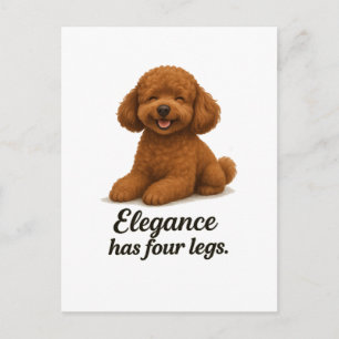 Cartão Postal Poodle Toy � A Elegância Tem Quatro Pernas