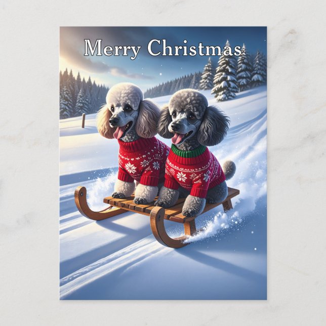 Cartão Postal Poodles Sled Ride Christmas (Frente)