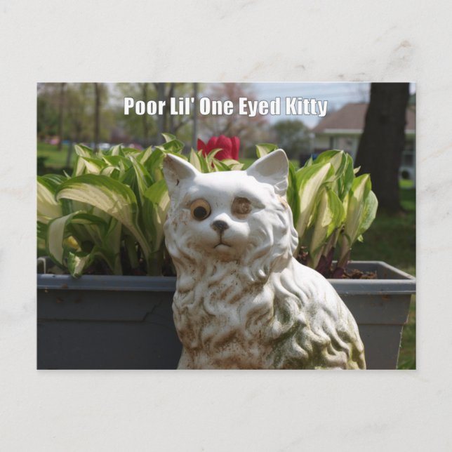 Cartão Postal Poor Lil' One Eyed Kitty (Frente)