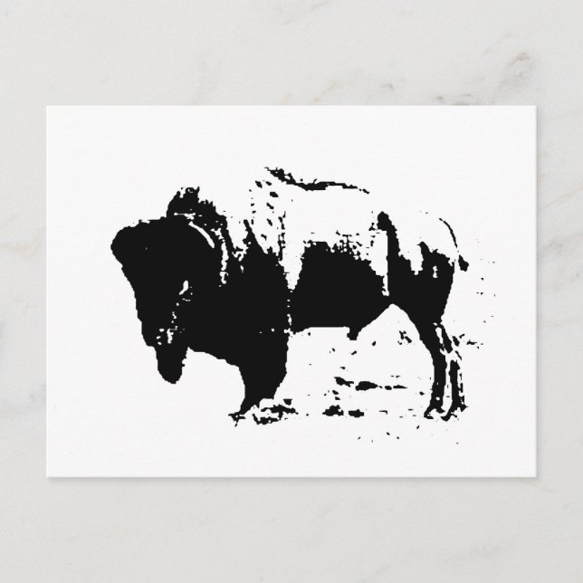 Cartão Postal Pop Art Black & White Buffalo Silhout (Frente)