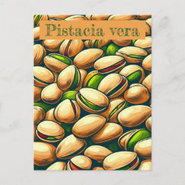 Cartão Postal Pop de pistachio