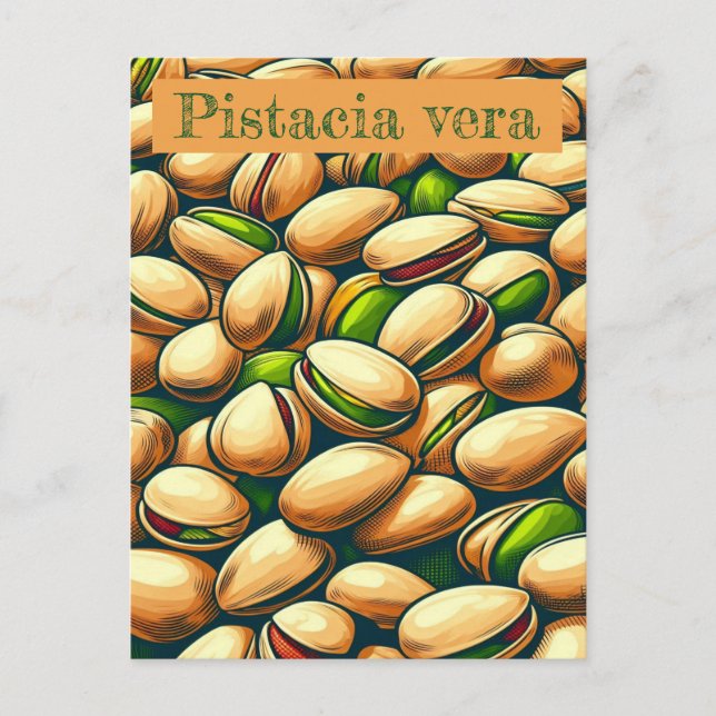 Cartão Postal Pop de pistachio (Frente)