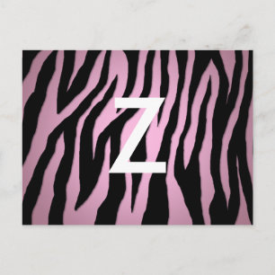 Cartão Postal Pop Zebra