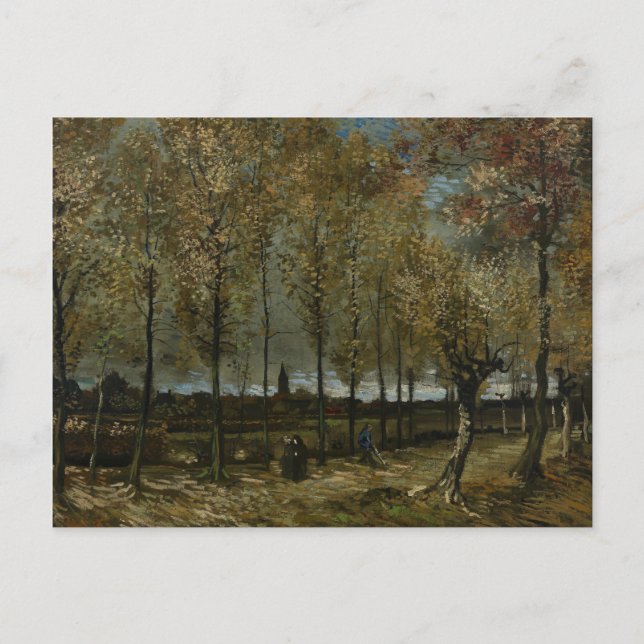Cartão Postal Poplars Near Nuenen por Vincent Van Gogh (Frente)