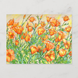 Cartão Postal Poppies