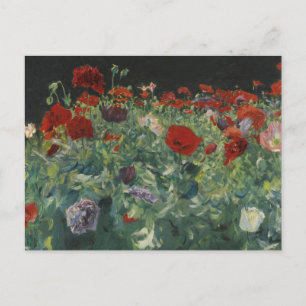 Cartão Postal Poppies por John Singer Sargent