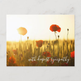 Cartão Postal Poppies Vermelhos Abre Campo Com Mais Simpatia