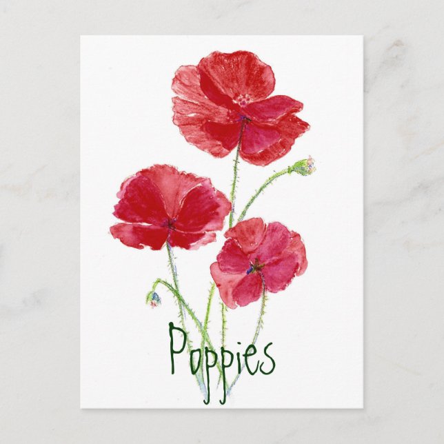 Cartão Postal Poppies vermelhos - Aquarela (Frente)