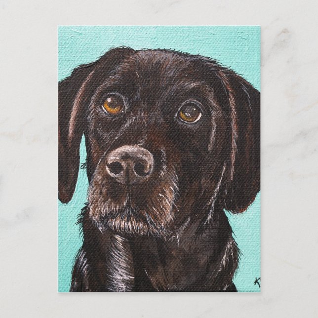 Cartão Postal Poppy (Frente)