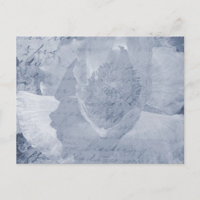 Cartão Postal Poppy 2 (Frente)