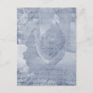 Cartão Postal Poppy 2