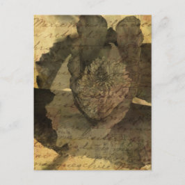 Cartão Postal Poppy 3