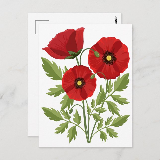 Cartão Postal Poppy alegre Flores de Verão (Frente/Verso)
