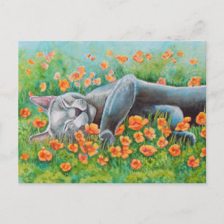 Cartão Postal Poppy's Poppies