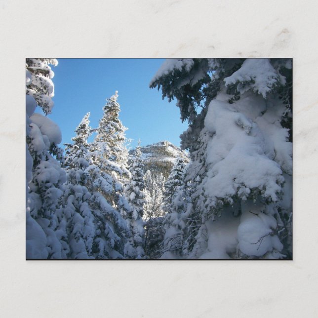 Cartão Postal Por aqui até o topo. (Frente)