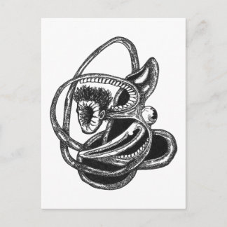 Cartão Postal Por Dentro e Por Fora