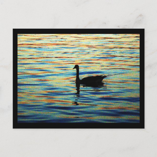 Cartão Postal pôr do sol (Frente)