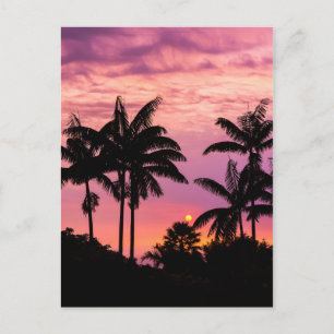 Cartão Postal Pôr do sol através das Palmeiras