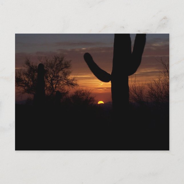 Cartão Postal pôr do sol AZ 1 (Frente)