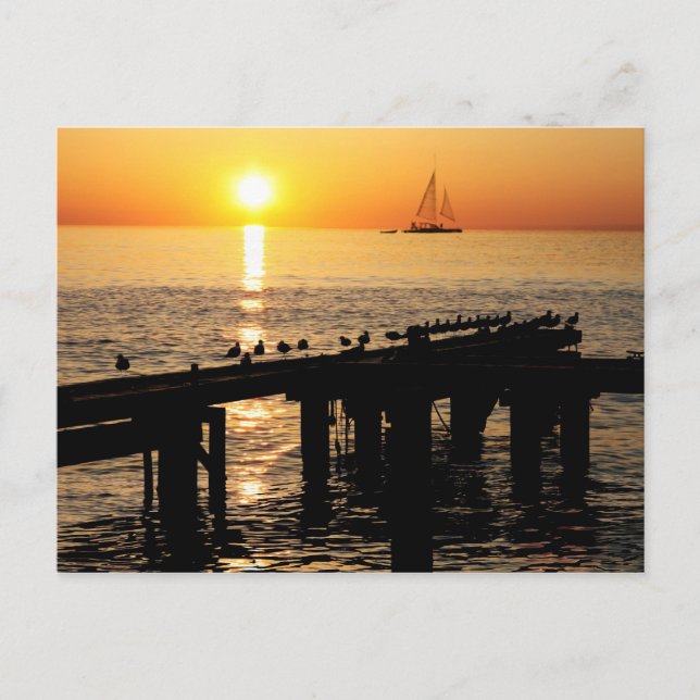 Cartão Postal pôr do sol de Aruba (Frente)