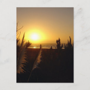 Cartão Postal Pôr do sol de Raglan