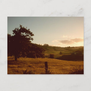 Cartão Postal Pôr do Sol de Verão da Tasmânia