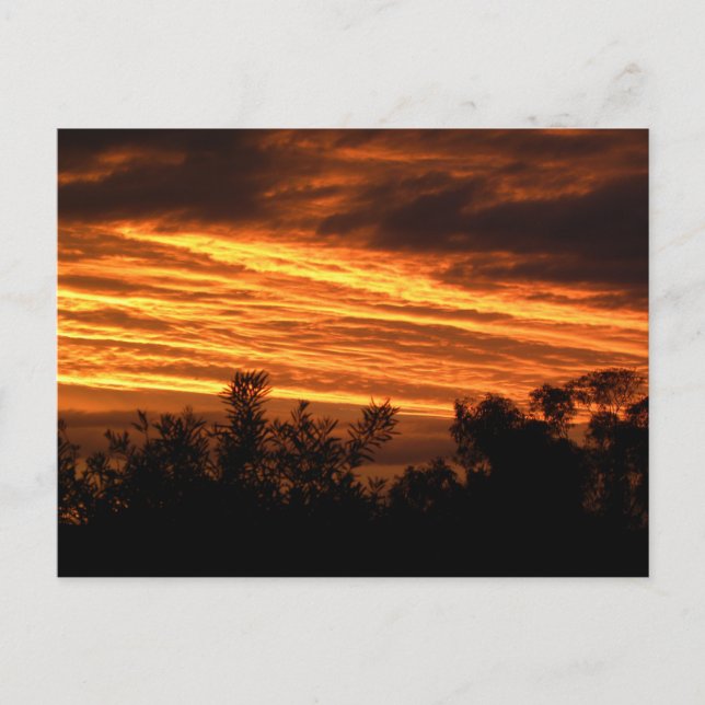 Cartão Postal pôr do sol de verão em Canberra (Frente)