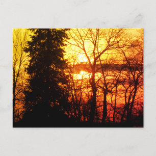Cartão Postal Pôr do Sol Deslumbrante Canadá Árvores Laranja Dou