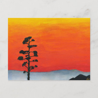 Cartão Postal Pôr do sol do agave