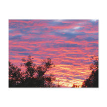 Por do sol do verão